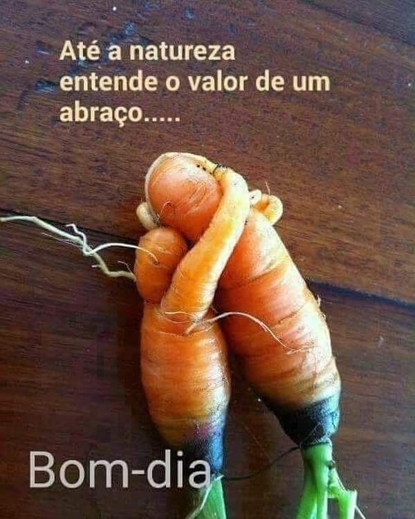 Aos meus queridos amigos do coração bjs.