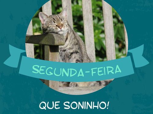 Para meus amigos queridos.