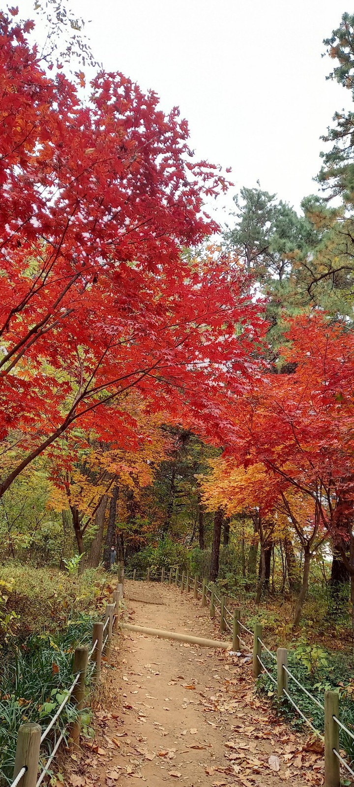 산책가는 길...