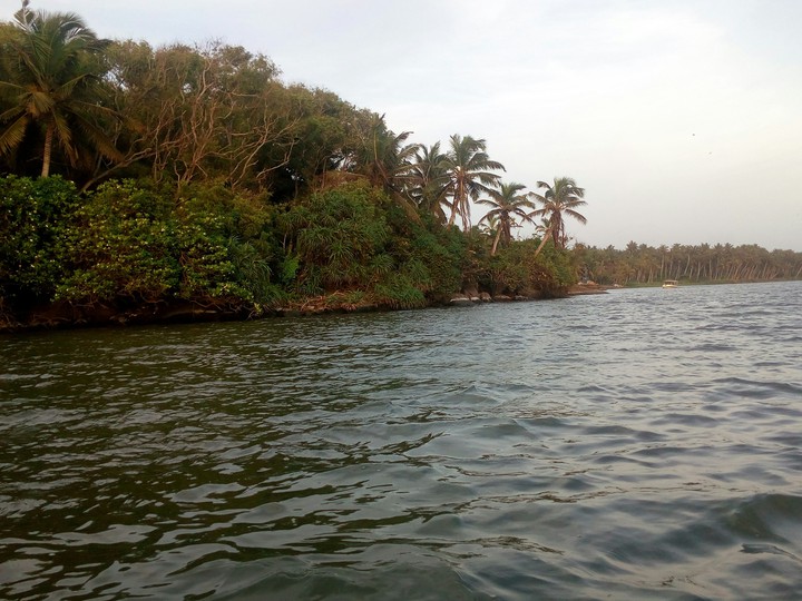 Poovar lake