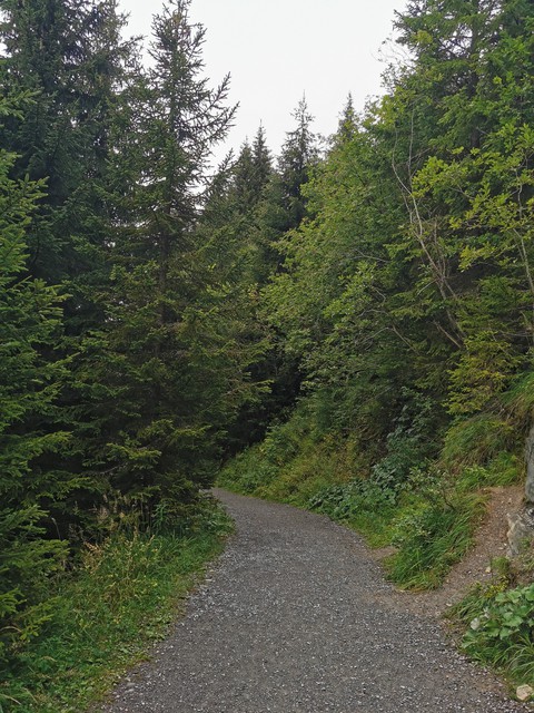 Le long du chemin