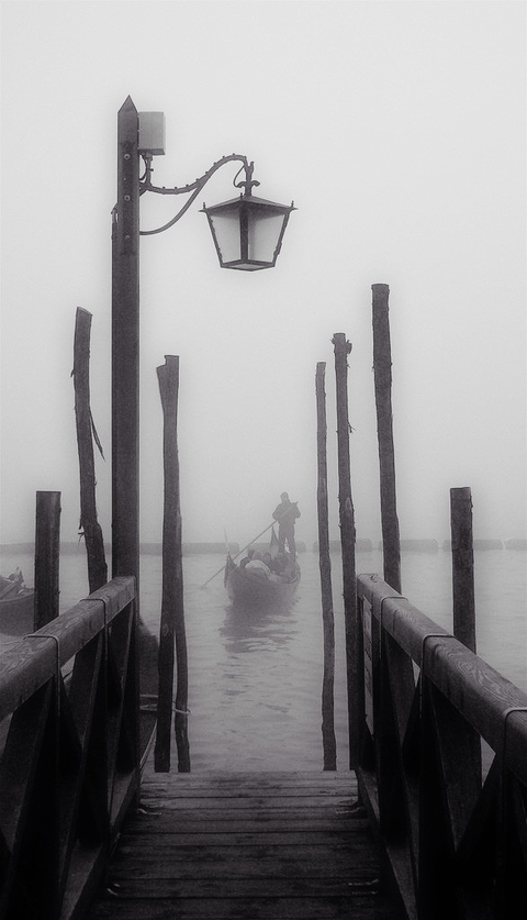 waiting eyes in the fog