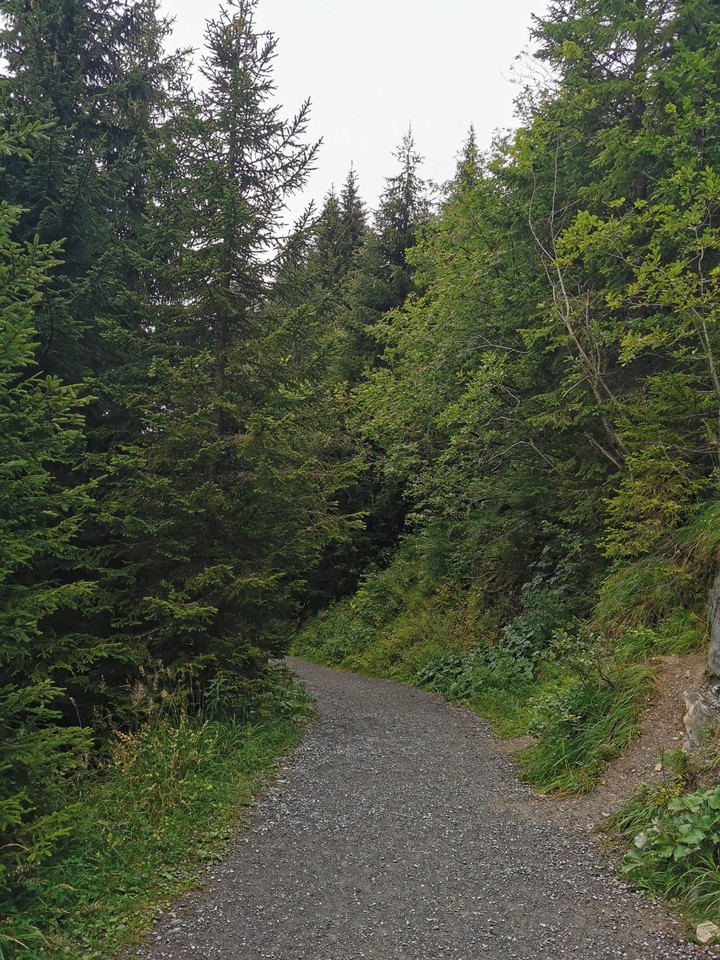 Le long du chemin