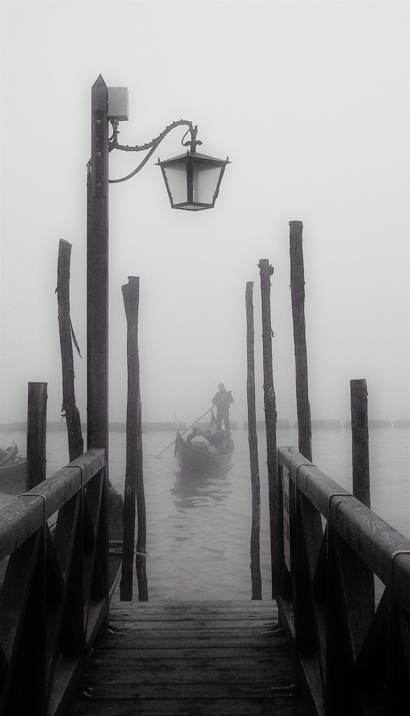 waiting eyes in the fog