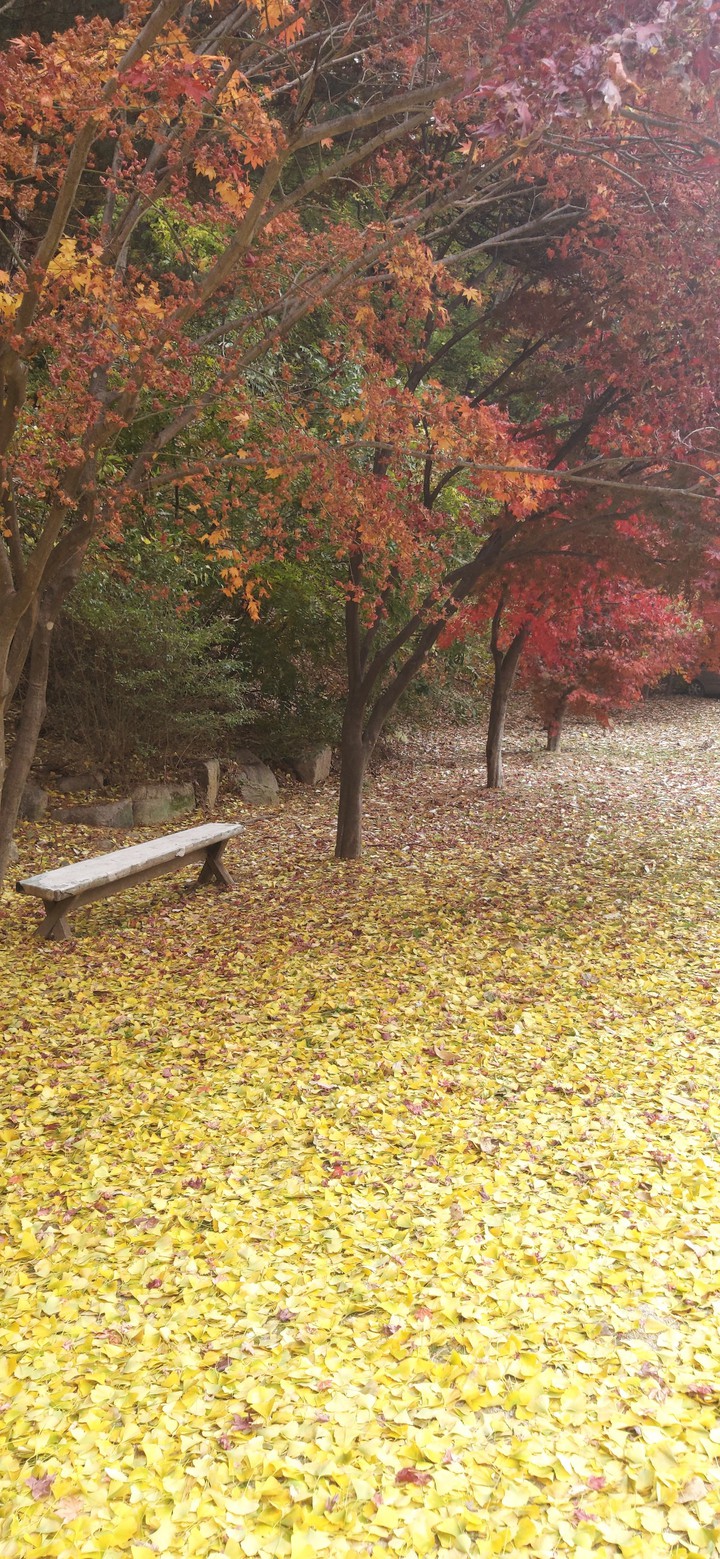 가을