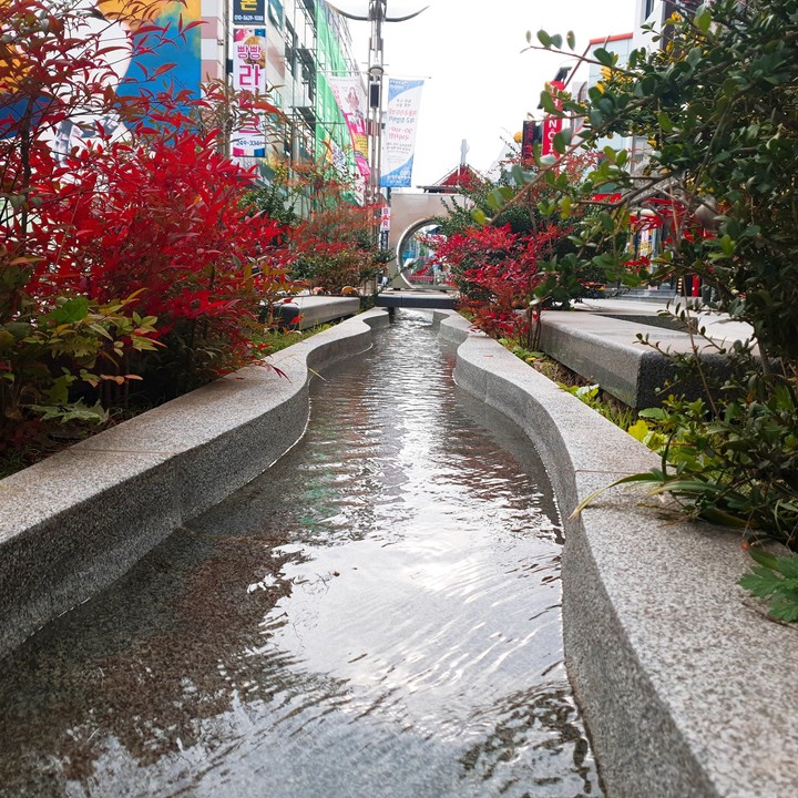 city in the river