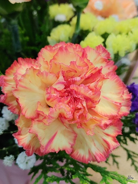 summer, pink壁纸