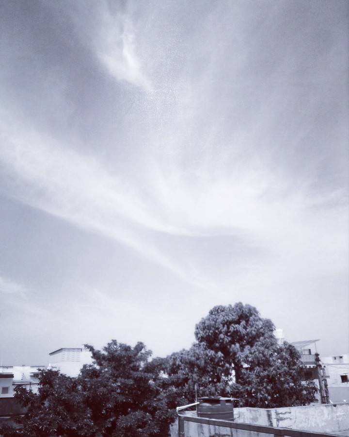Scenic beauty