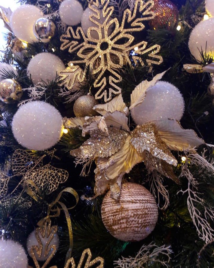 Christmas tree in Diyar