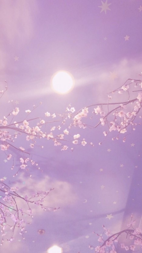 벗꽃