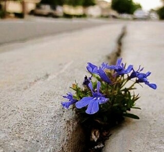 برای شروع کردن مهم نیست شنبه است یادرجایی هستی یا....