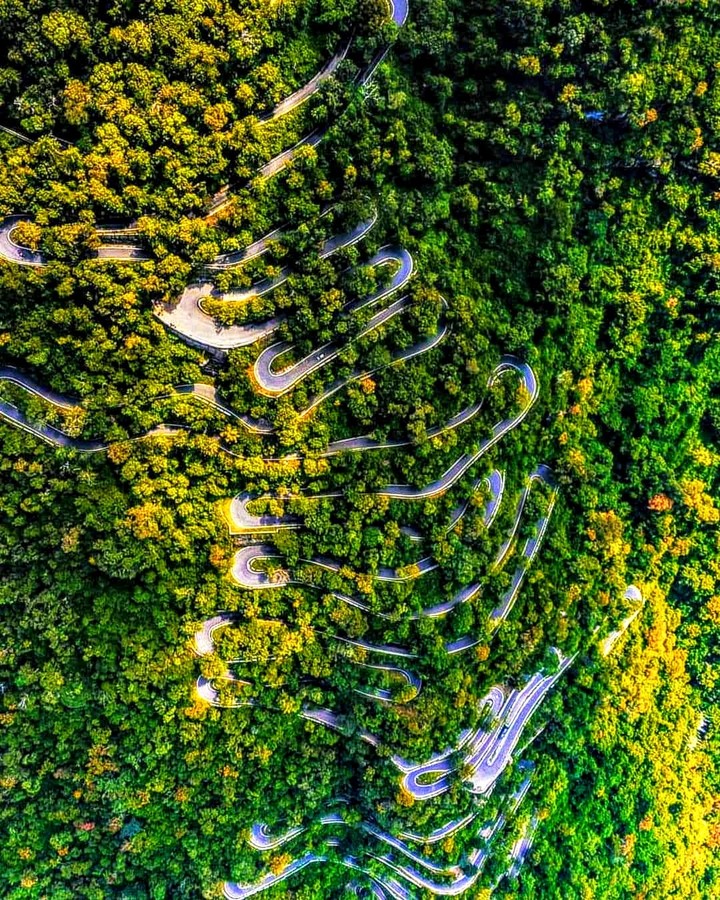 Curvy Roads