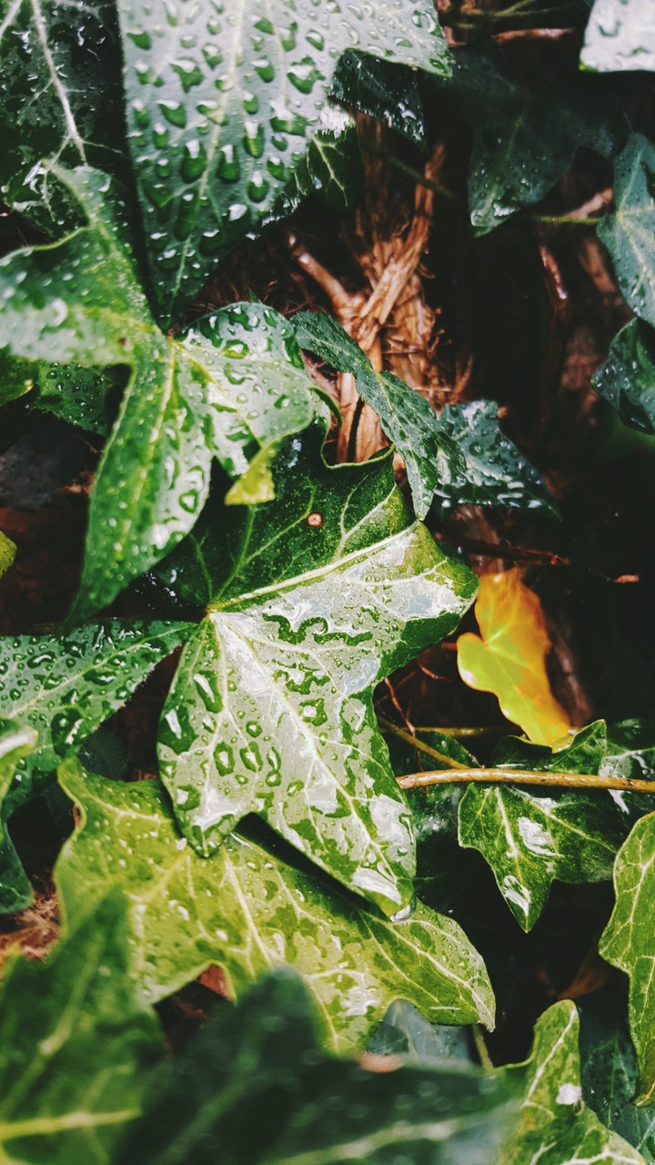 Autumn is beautifull
