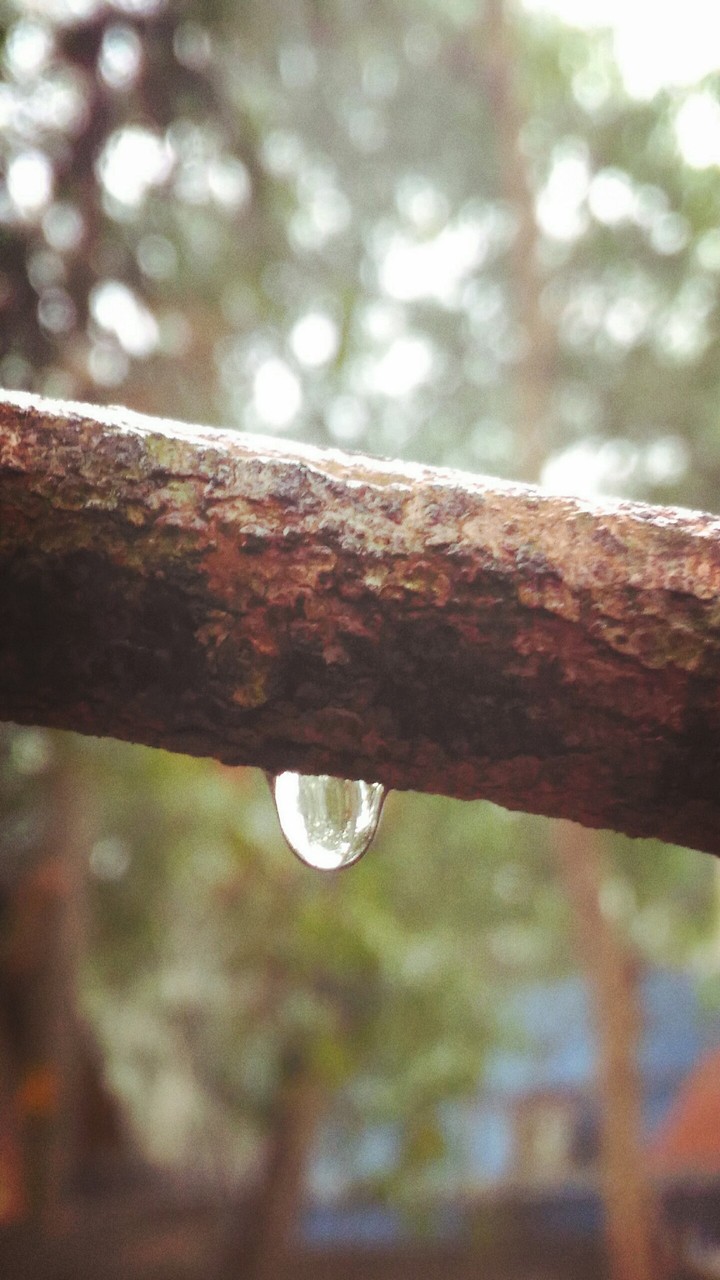 rain