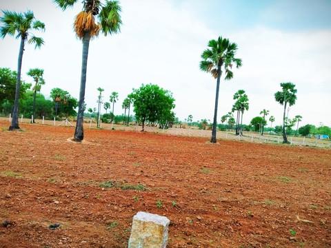 nature..land... ?