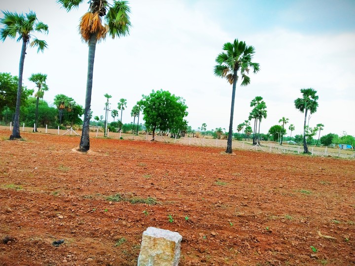 nature..land... ?