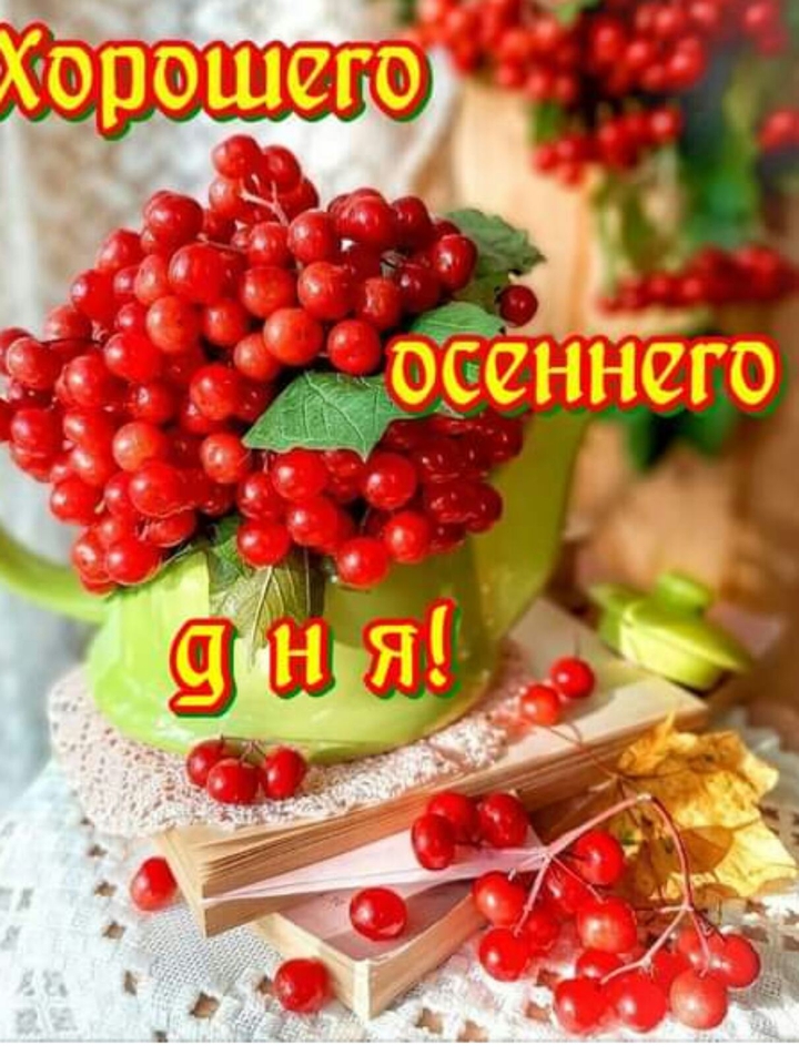 осенние грозди!