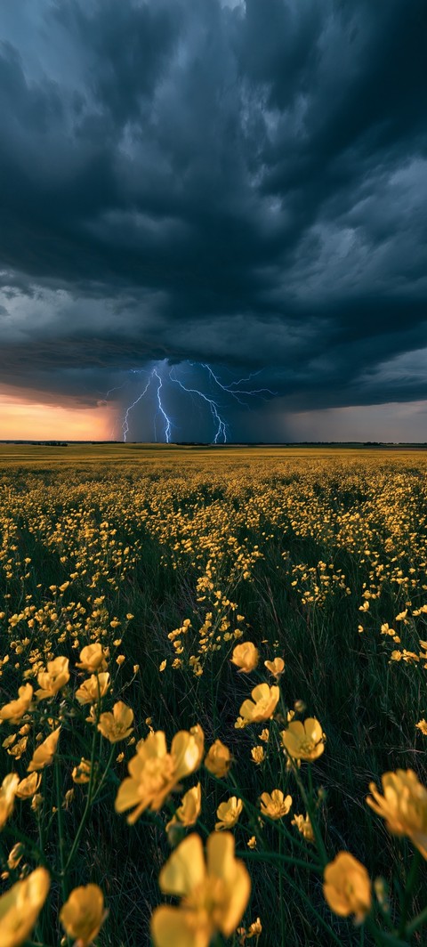 cloud, prairie háttérképek