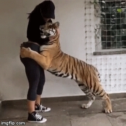 ❤