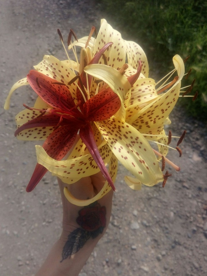букет