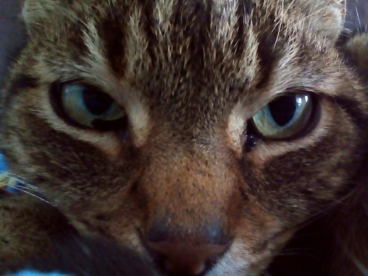 an eyes for an eyes