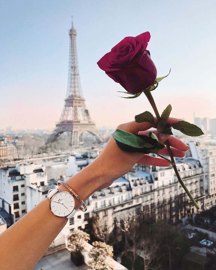 rose