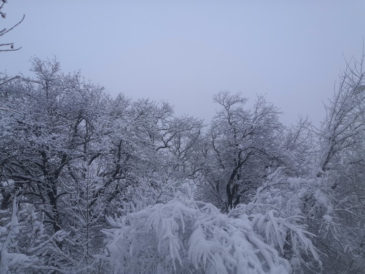 снег