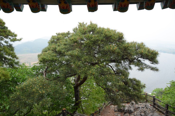 풍경이미지