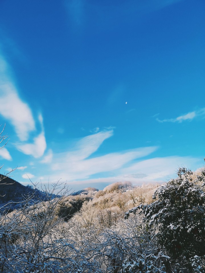 Snowland