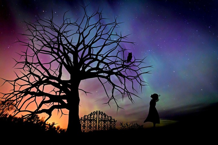 Fantasy
