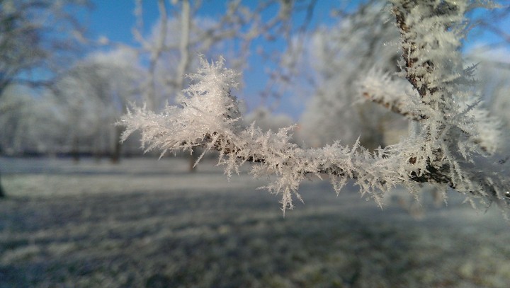 winter wonder land