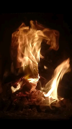 Fire