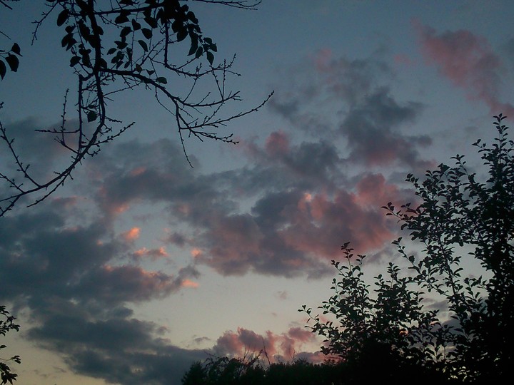 Sky