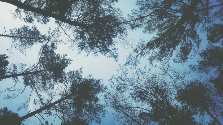 sky