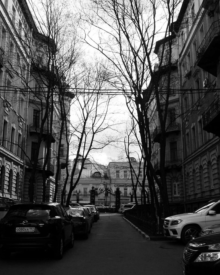 Monochrome