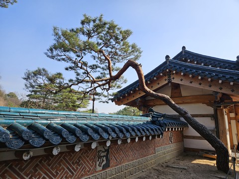 제목 없음