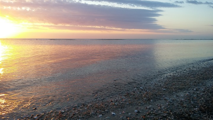 Alba #nofilter