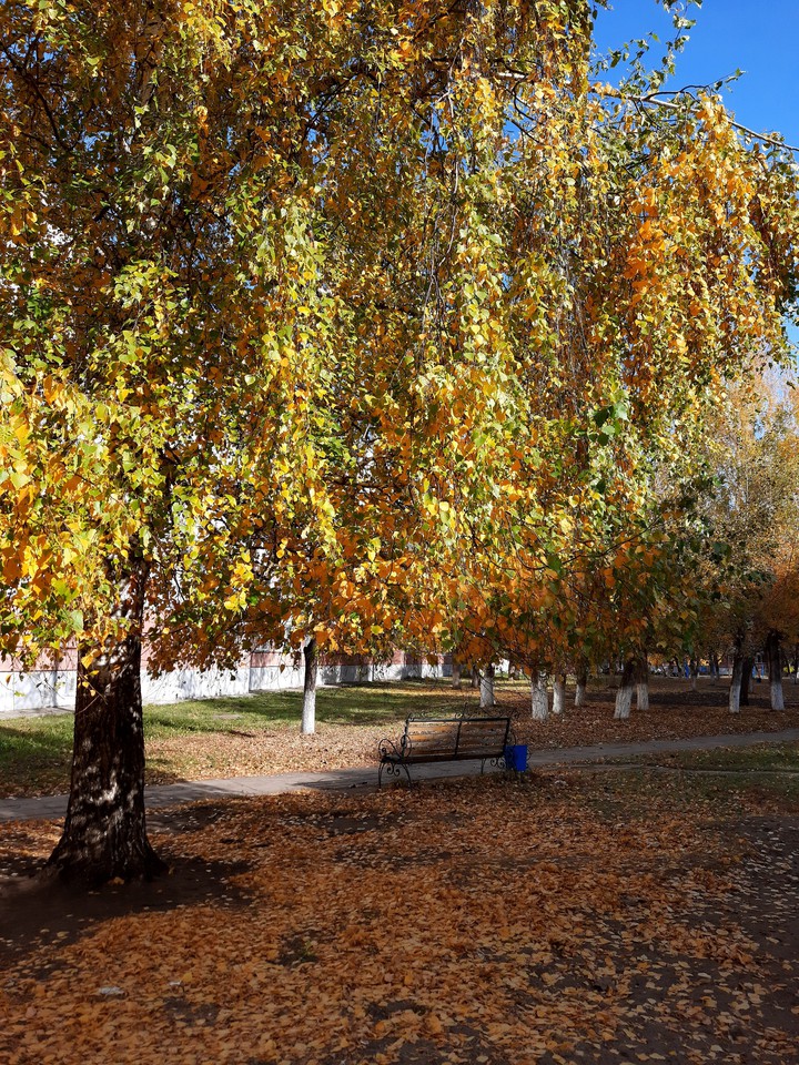 золотая осень