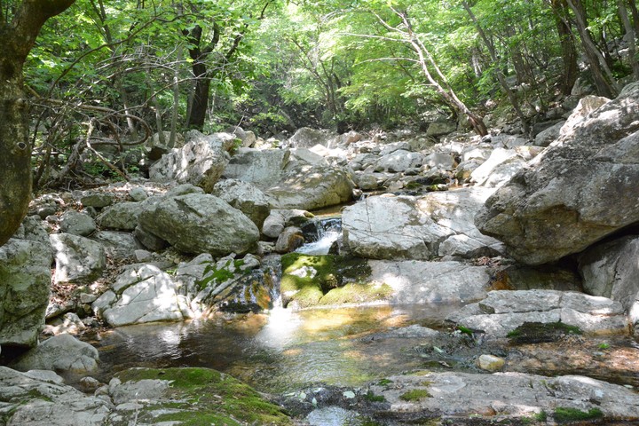 중원산이미지