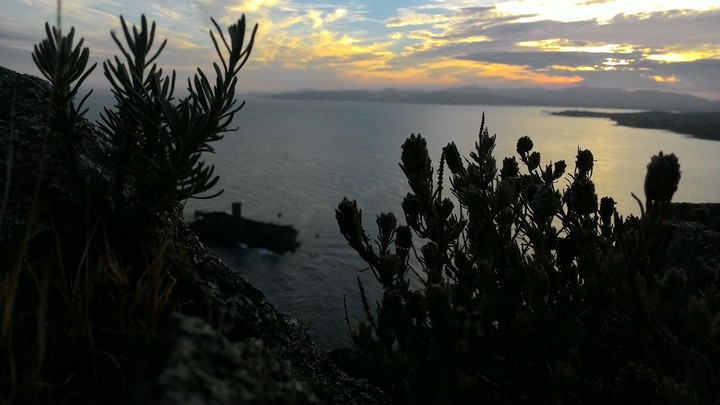 Ile d'or