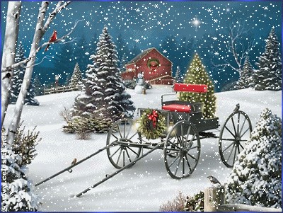 chris carriage ❄️
