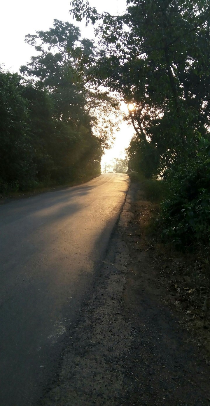 Morning