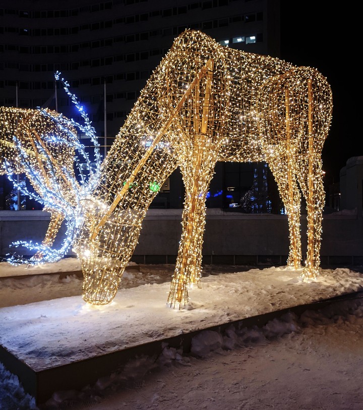 олень