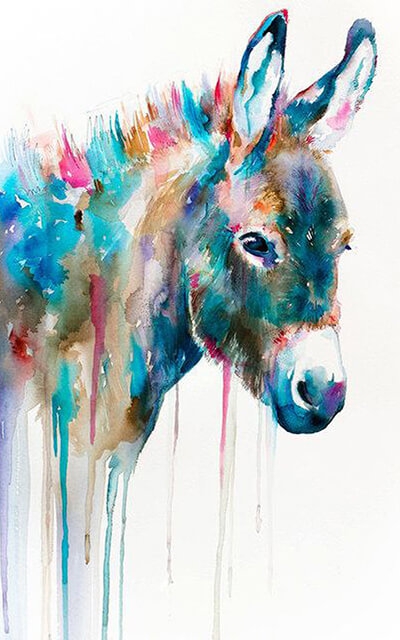 Esel - Aquarell