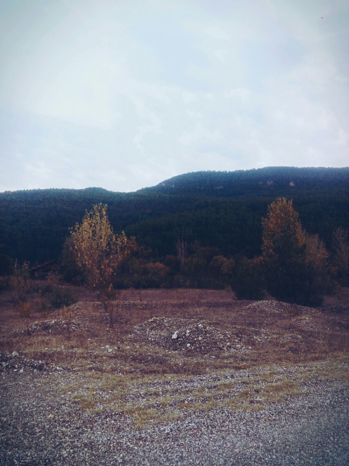 DAĞ