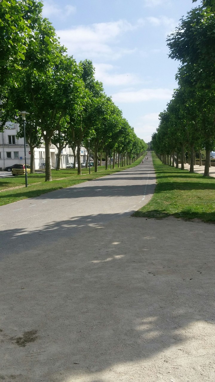 Vegetal City