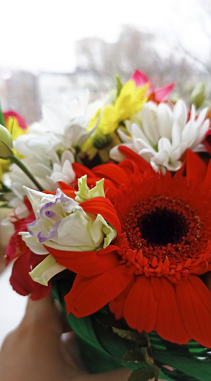 Flowers
