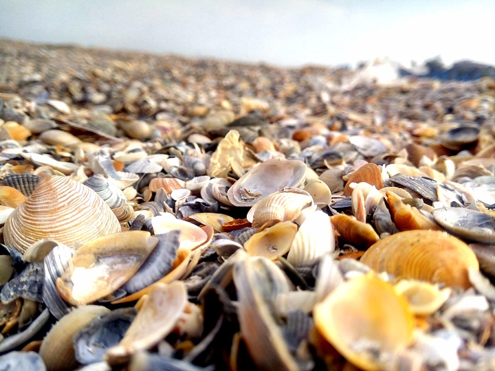 sunny beach