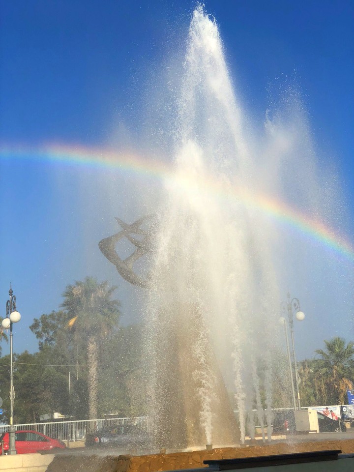 Finikoudes, Larnaca
