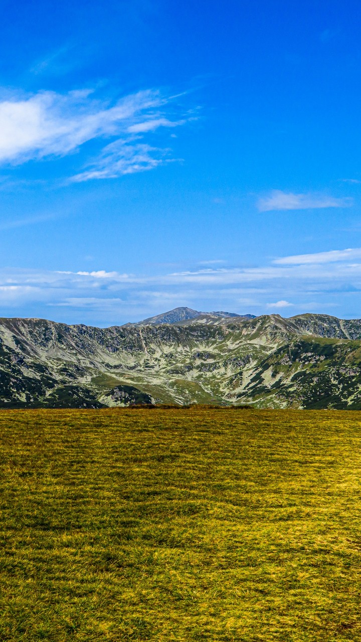 Transalpina